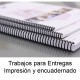 Proyectos Entregables