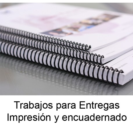 Proyectos Entregables